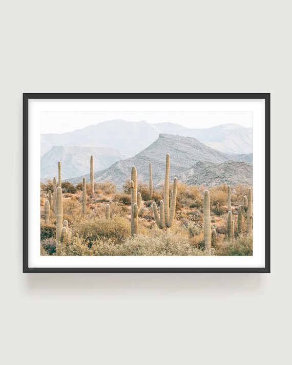 Saguaro Cactus Fine Art Print - Neutral Desert Wall Art for Calm Modern Interiors