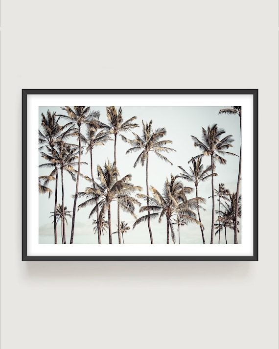 Palm Trees Wall Art – Tropical Nature Wall Decor, Coastal Botanical Photography Print