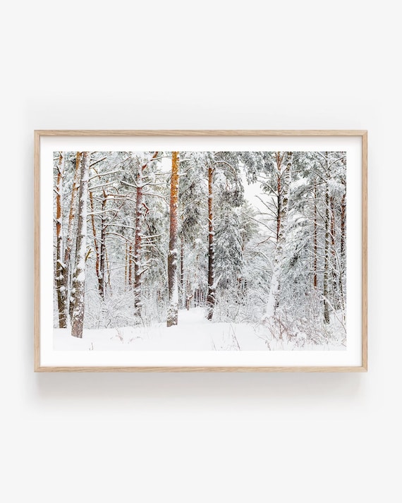Winter Forest Photography Print, Framed or Unframed Snowy Woodland Scandi Wall Art