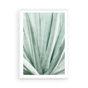 Stampa artistica di Agave Plant - Texture botanica verde menta, stampa del deserto ispirata alla tequila, decorazione da parete occidentale con cornice, decorazione del sud-ovest del Messico