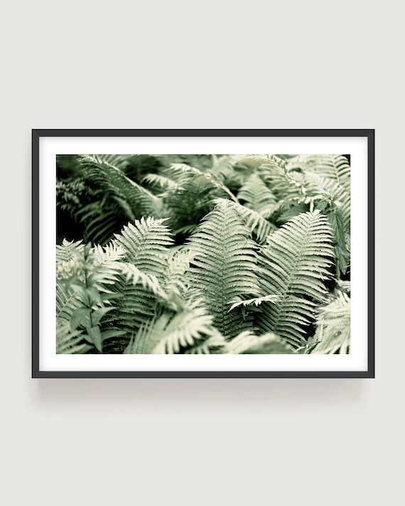 Fern Foliage Botanical Wall Art Print, Green Leaves Nature Photography