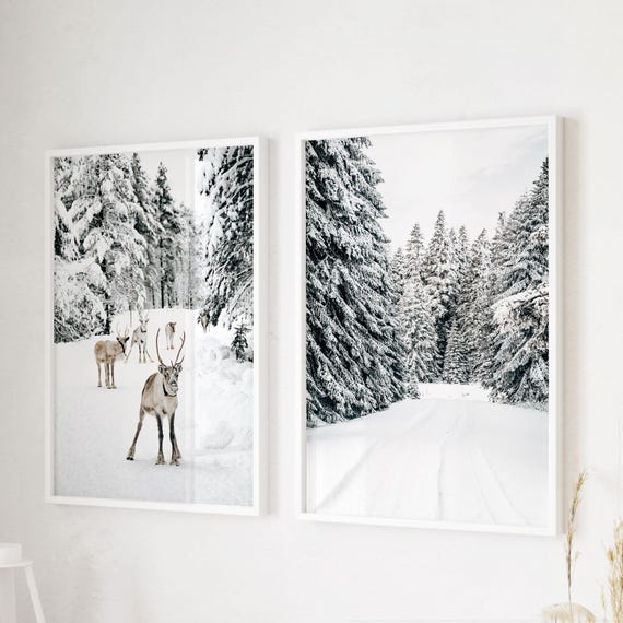 Winter Forest Photography Print Set: Snowy Reindeer Art