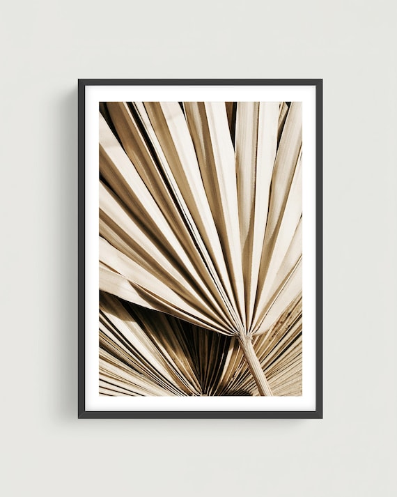 Minimalist Palm Leaf Photo: Abstract Botanical Wall Art, Modern Neutral Nature Print