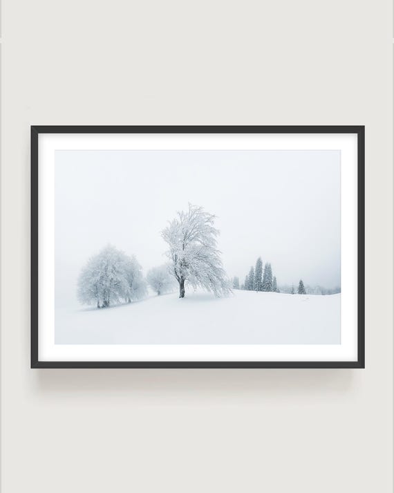 Minimalist Winter Landscape Print - Snowy Trees Fine Art Photography, Framed Wall Art
