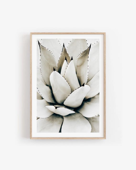 Modern Botanical Wall Art: Abstract Tropical Agave Print in Neutral Tones