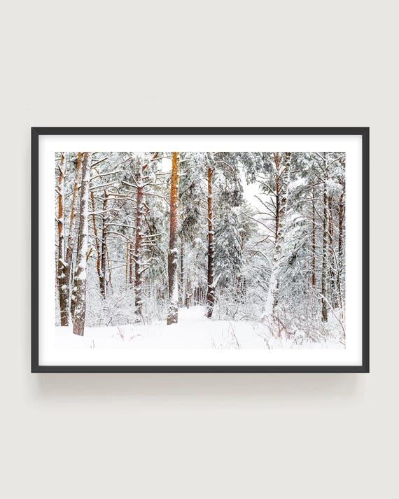 Winter Forest Photography Print, Framed or Unframed Snowy Woodland Scandi Wall Art