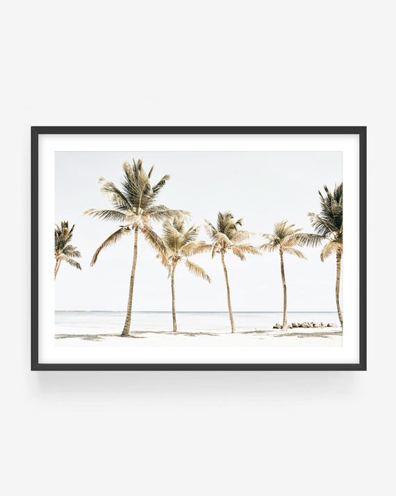 Tropical Palm Tree Beach Print, Coastal Photography, Framed or Unframed