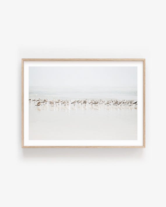 Sandpiper Beach Print, Minimalist Coastal Bird Photography, Neutral Ocean Decor