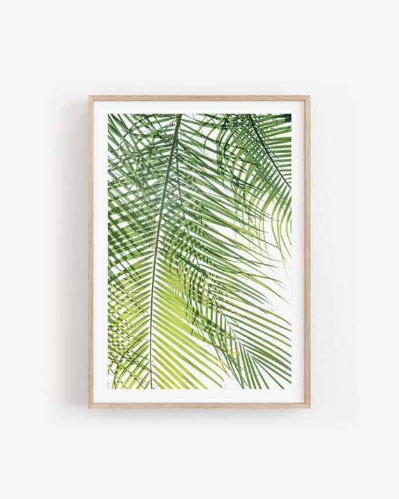 Sunlit Palm Leaf Print, Abstract Tropical Greenery, Botanical Wall Art Framed or Unframed