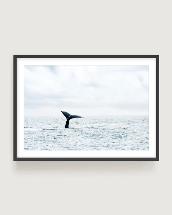 Whale Tail Ocean Print - Marine Wildlife Photography Wall Art