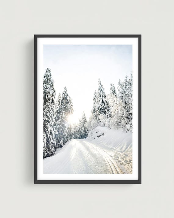 Winter Forest Path Wall Art - Snowy Trees Photography, White Christmas Fine Art Print