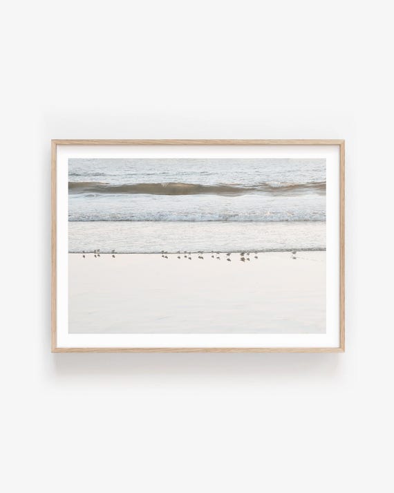 Sandpiper Wall Art: Coastal Bird Fine Art Print Framed or Unframed