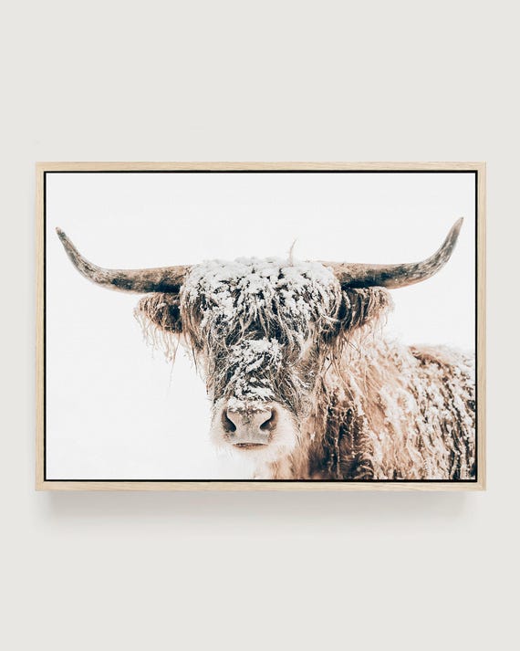 Highland Cow Canvas Wall Art - Winter Portrait, Rustic Framed Canvas Print