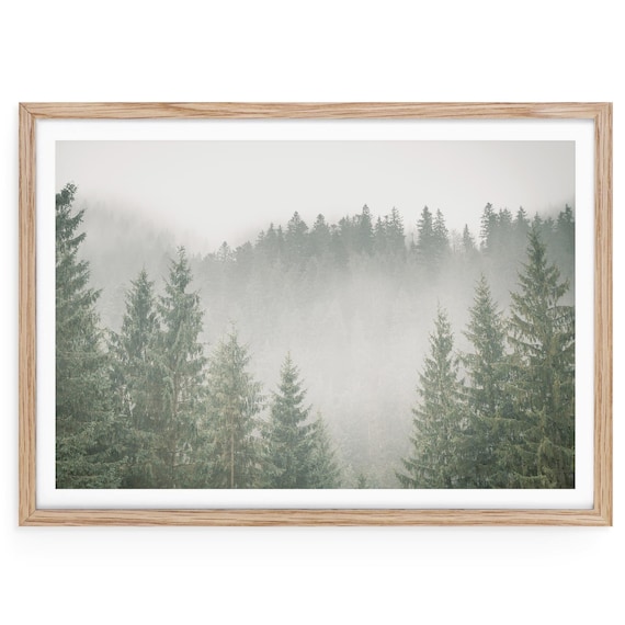 Foggy Forest Giclée Print, Neutral Landscape Photography, Framed or Unframed Wall Art