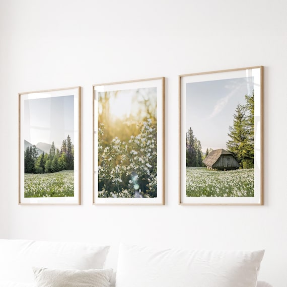 Wildflower Meadow Photography Prints Set of 3 - Cottagecore Farmhouse Wall Art