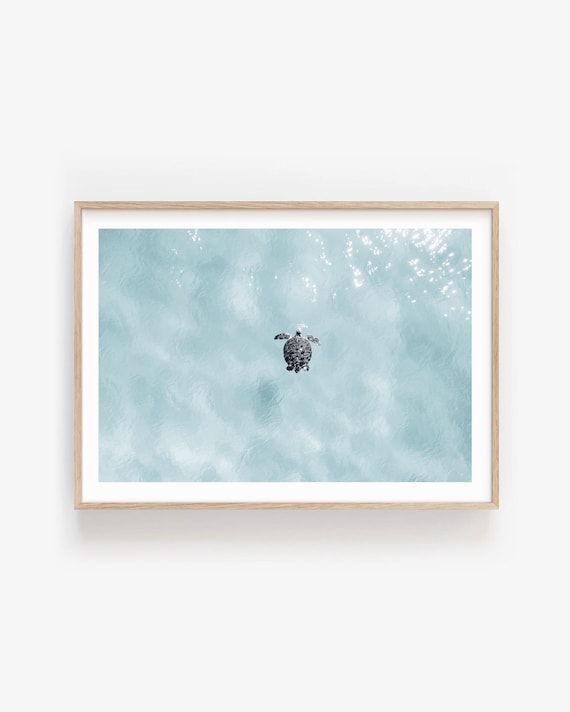Sea Turtle Ocean Photography Print, Minimalist Marine Life Photography, Framed or Unframed Wall Art