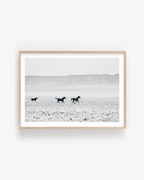Wild Horses Fine Art Print Black and White Desert Photography