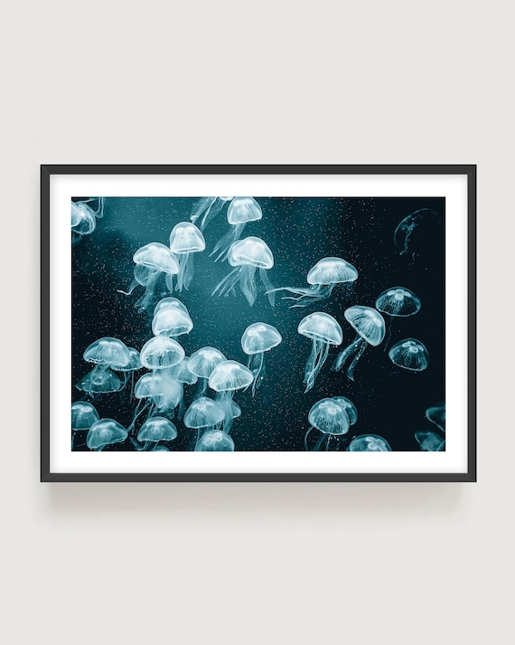 Jellyfish Wall Art - Serene Underwater Print for Modern Coastal Home Décor