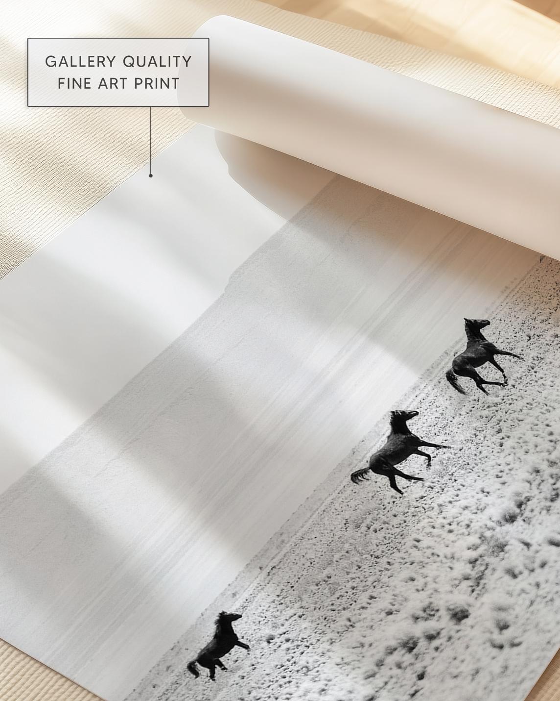 Wild Horses Fine Art Print - Black and White Desert Photography - Etsy