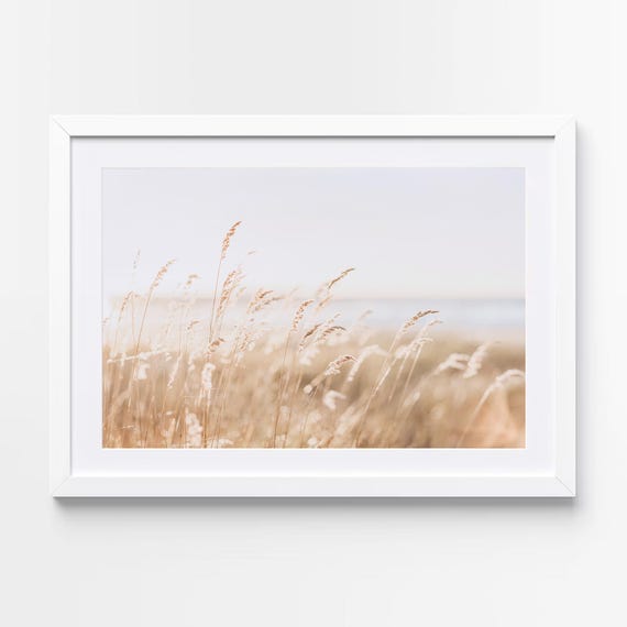 Beach Grass Fine Art Print: Coastal Seascape Photography