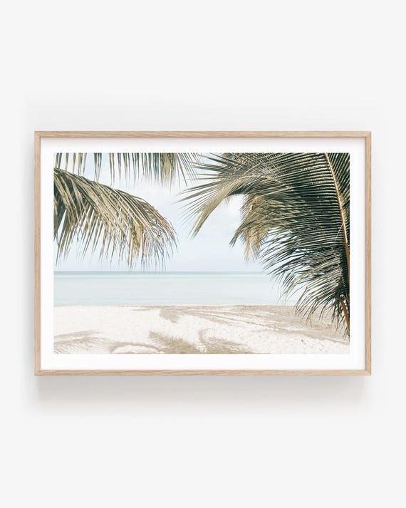 Coastal Palm Tree Wall Art - Beach Photography, Modern Tropical Wall Art