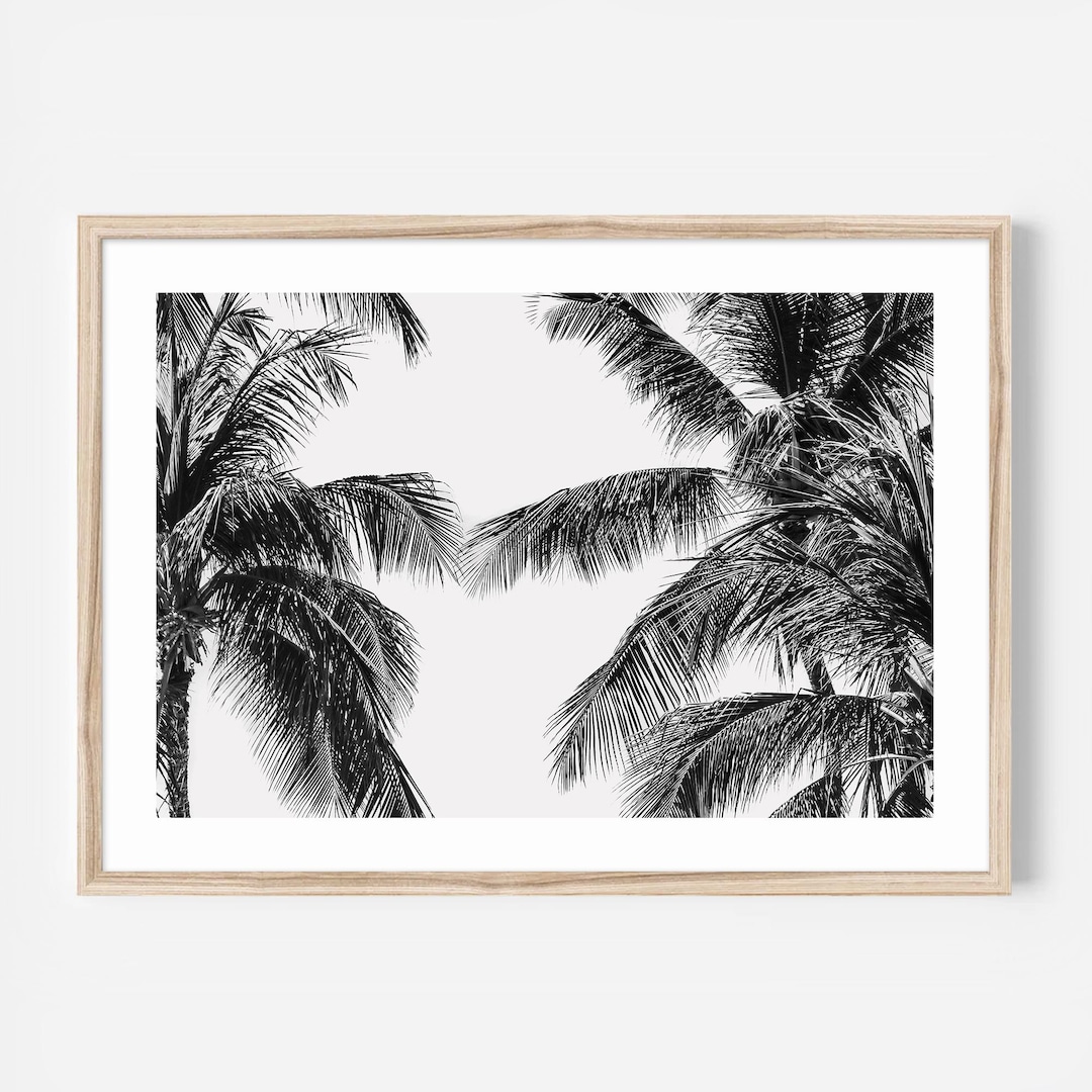 Black and White Palm Tree Wall Art, Tropical Fine Art Print, Minimalist ...