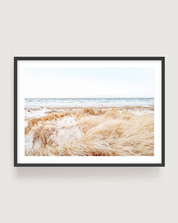 Beach Grass Wall Art Print - Minimalist Boho Coastal Fine Art Photography