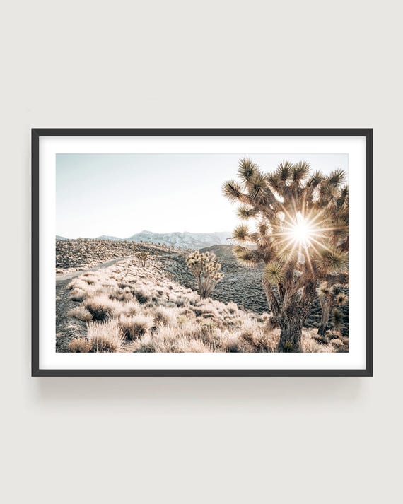 Joshua Tree Desert Landscape Wall Art – Neutral Fine Art Print, Southwestern Photography