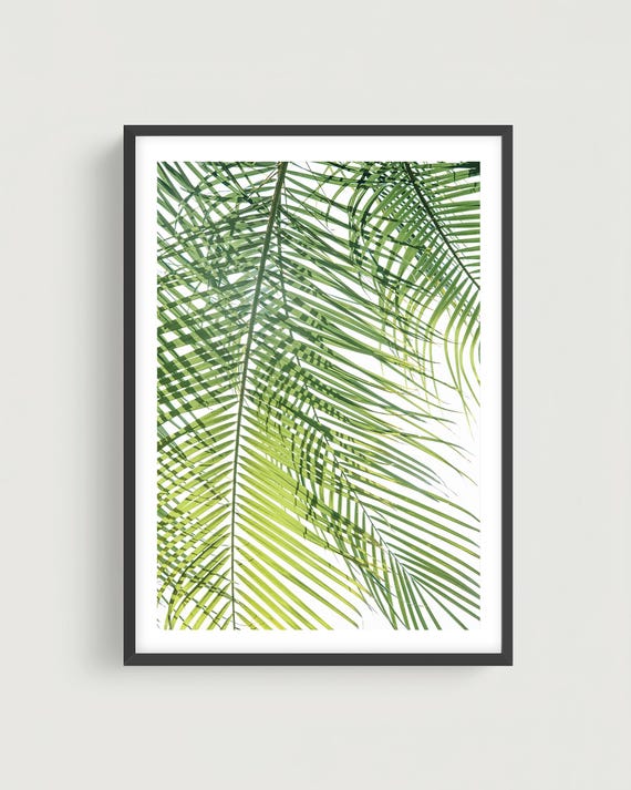 Sunlit Palm Leaf Botanical Wall Art Print - Abstract Tropical Greenery, Framed or Unframed