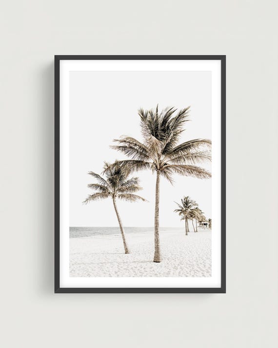 Tropical Beach Wall Art Print - Coastal Palm Trees Photography Wall Decor