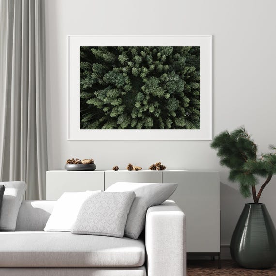 Forest Canopy Aerial Print, Green Nature Photography, Modern Woodland Wall Art