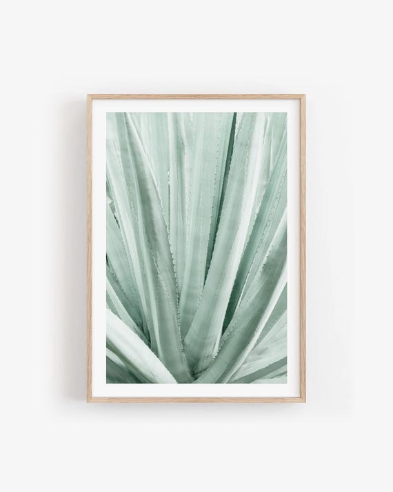 Agave Botanical Wall Art Print - Mint Green Abstract Nature Fine Art Photography