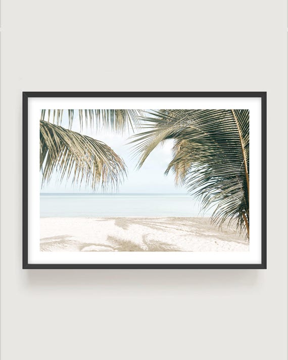 Coastal Palm Tree Wall Art - Beach Photography, Modern Tropical Wall Art