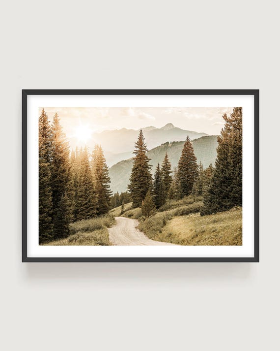 Colorado Mountain Photography Print - Scenic Forest Wall Art