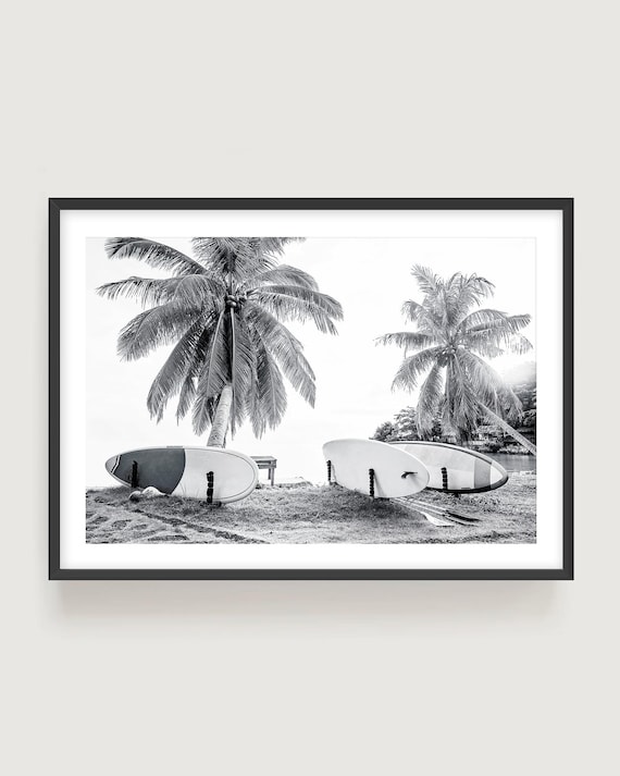 Black and White Surfboards Fine Art Print - Coastal Photography Wall Art