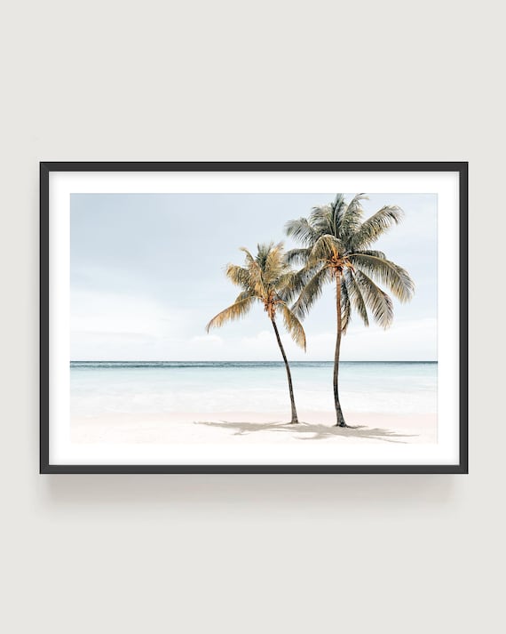 Caribbean Palm Tree Photography - Tropical Wall Art Fine Art Print