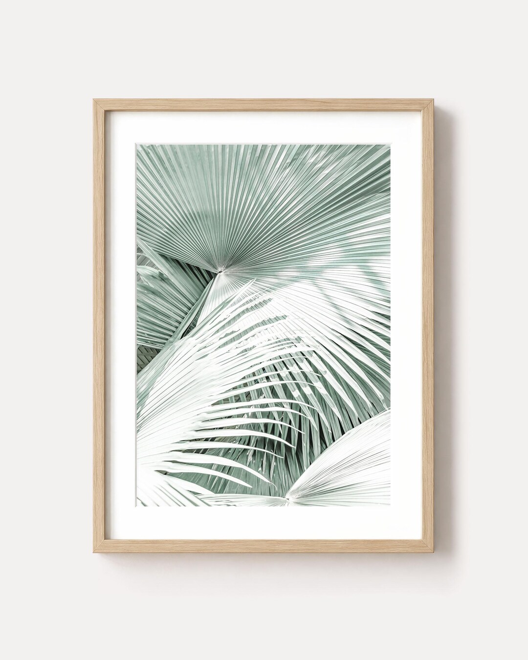 Mint Green Palm Leaf Fine Art Print - Tropical Botanical Wall Art ...