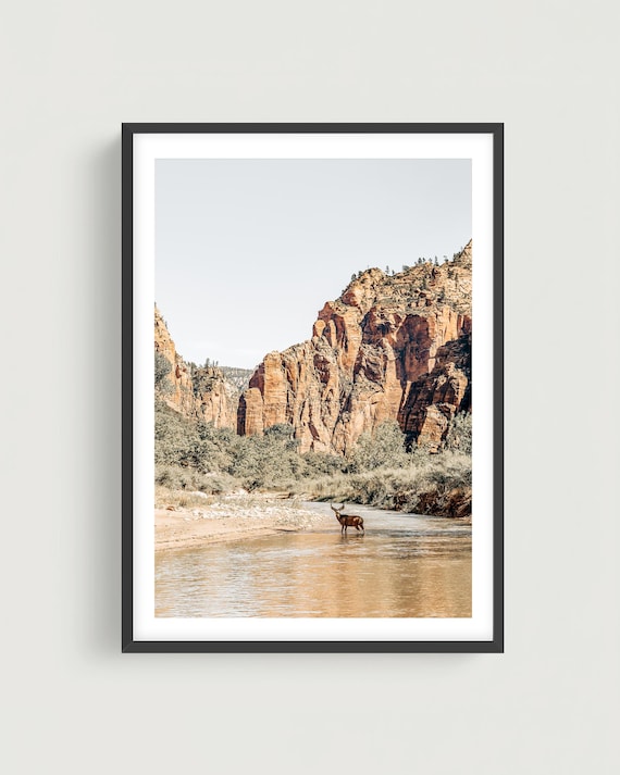 Zion Canyon River Wall Art Print - Wildlife Landscape Fine Art Photography