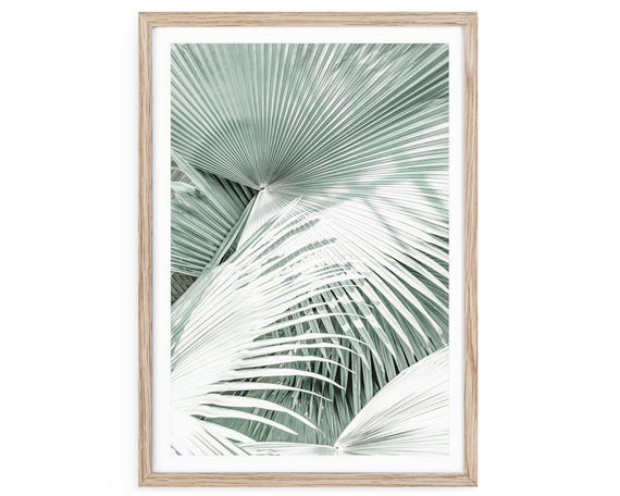 Mint Green Palm Leaf Fine Art Print, Tropical Botanical Wall Art Framed or Unframed