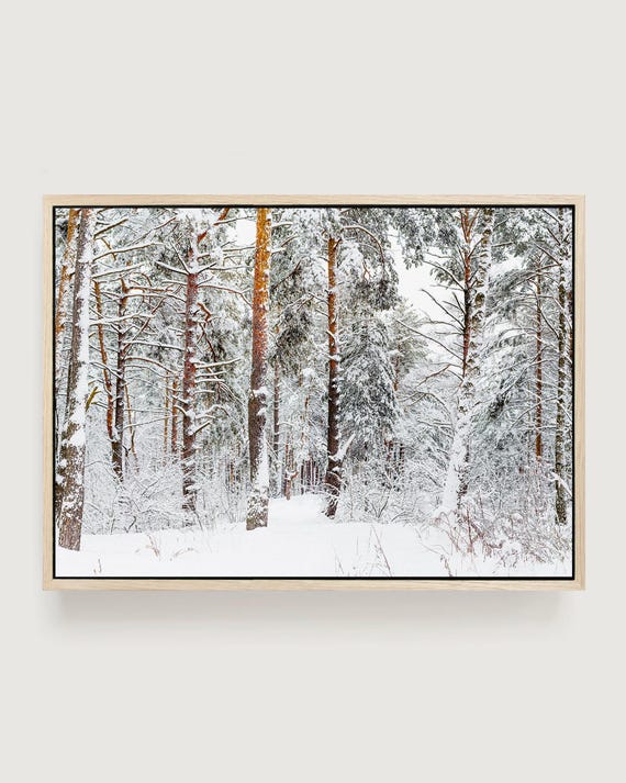 Winter Forest Canvas Print, Large Framed Wall Art, Snowy Tree Nature Photography