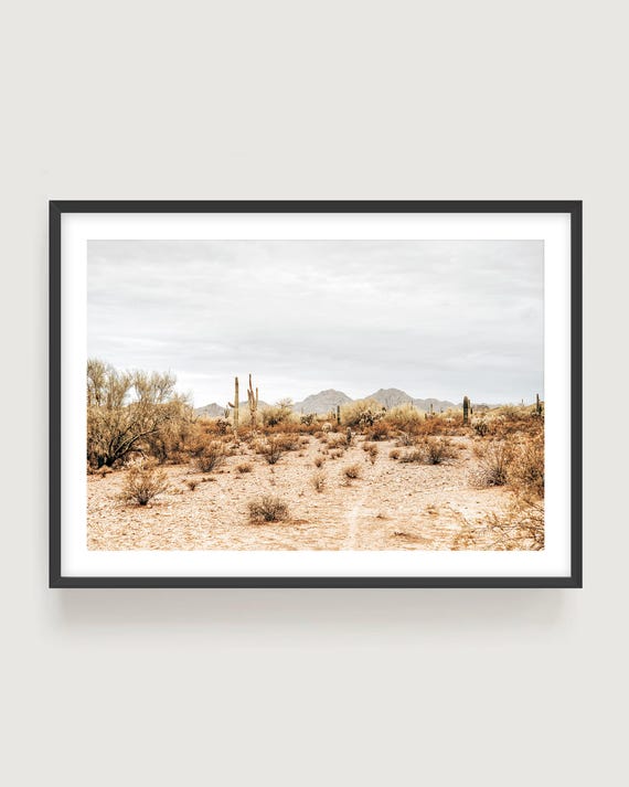 Sonoran Desert Framed Print - Beige Neutral Landscape Photography