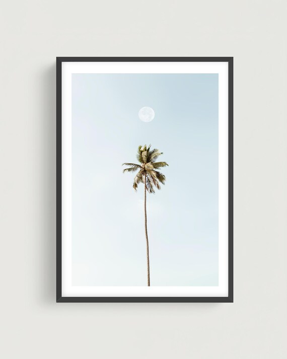 Minimalist Palm Tree Print - Pastel Blue Island Photography, Framed or Unframed