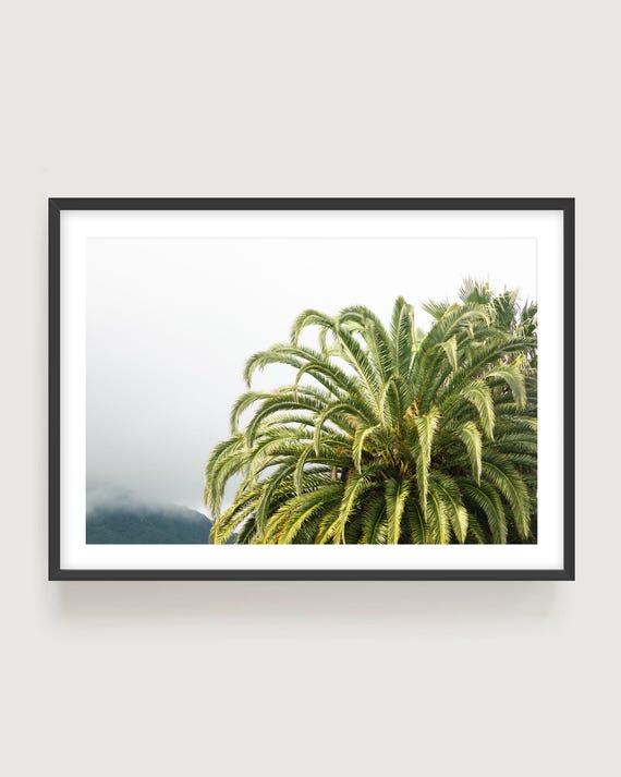 Hawaii Palm Tree Wall Art - Green Tropical Nature, Fine Art Photography Print
