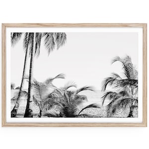 Costa Rica Beach Print: Black and White Palm Tree Coastal Wall Art