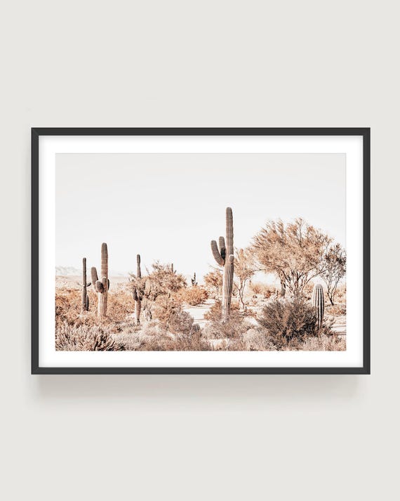 Arizona Desert Wall Art - Boho Nature Cactus Photography Print