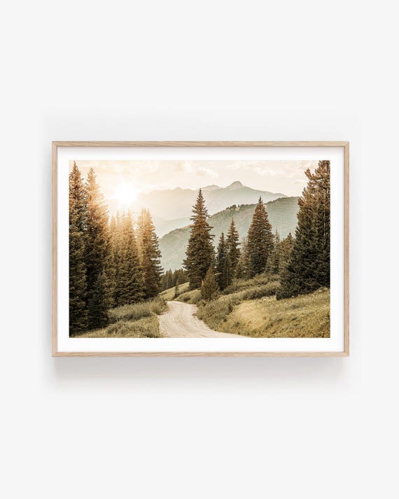 Colorado Mountain Photography Print: Scenic Forest Wall Art