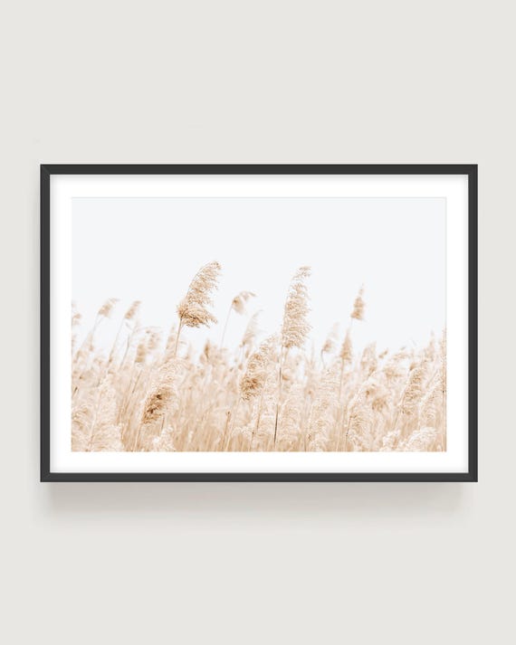 Pampas Grass Beach Photography Print - Minimalist Coastal Wall Art Framed or Unframed Print