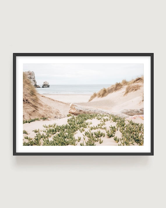Morro Bay Beach Wall Art - California Coastal Dunes Photography Fine Art Print