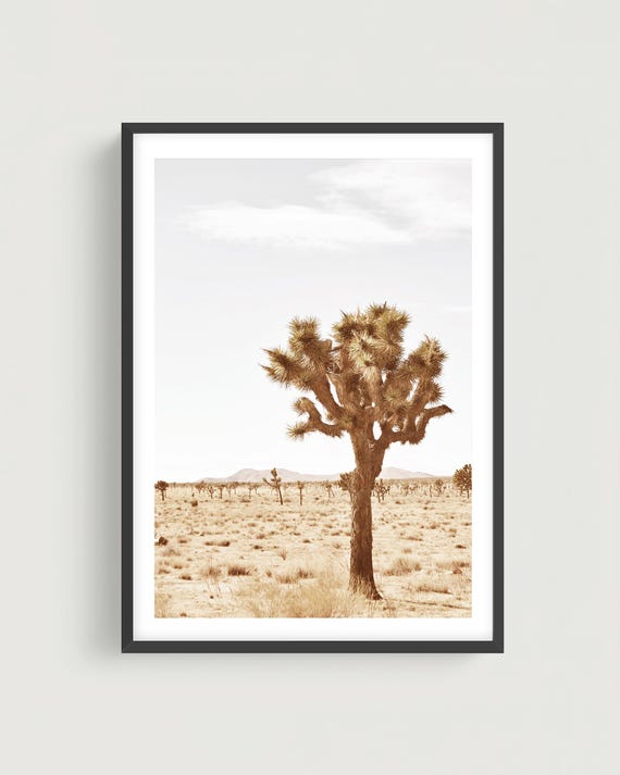 Joshua Tree Desert Wall Art - Neutral Desert Print, Southwest Landscape Photography