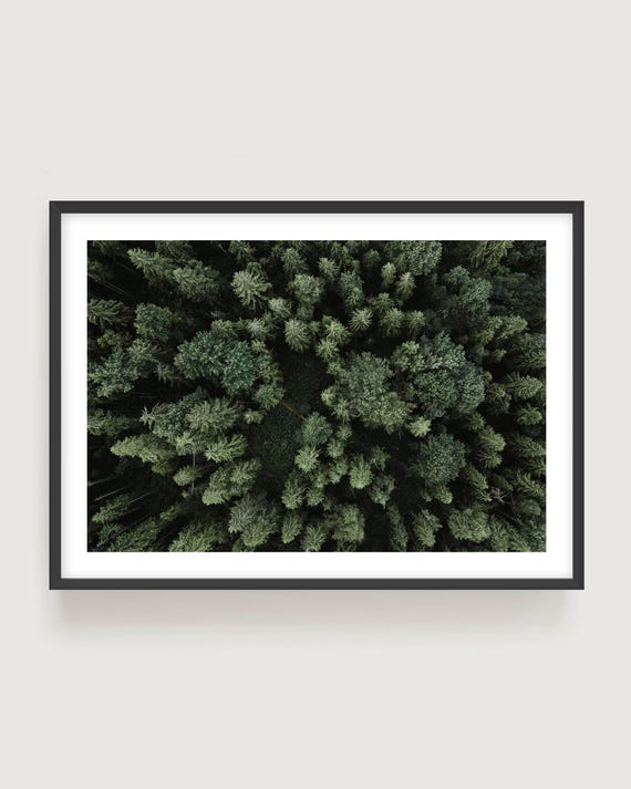 Forest Canopy Aerial Print - Green Nature Photography, Modern Woodland Wall Art